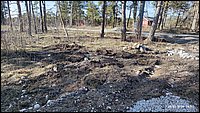 IMG_20260329_160258.jpg