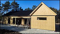 IMG_20260329_160346.jpg