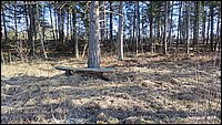 IMG_20260329_160417.jpg