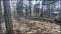 IMG_20260329_160448.jpg