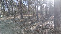 IMG_20260329_160453.jpg