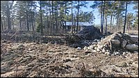 IMG_20260329_160459.jpg