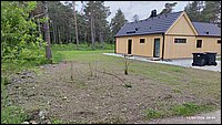 IMG_20260611_093439.jpg
