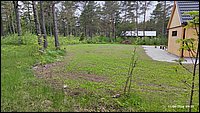 IMG_20260611_093551.jpg