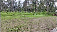 IMG_20260611_093628.jpg