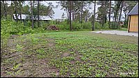 IMG_20260611_093656.jpg