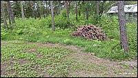 IMG_20260611_093800.jpg
