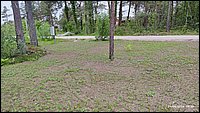 IMG_20260611_093839.jpg